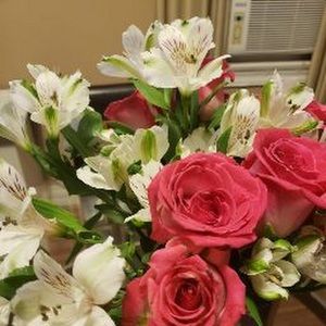 Meet your Posher, Tanya